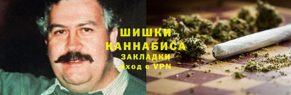 мяу мяу мука Белокуриха