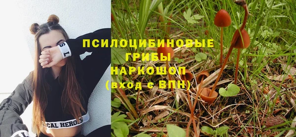 мяу мяу мука Белокуриха