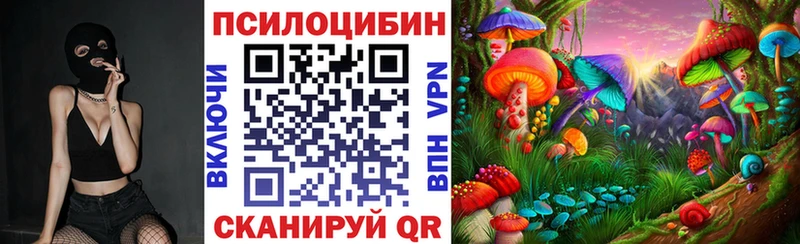 Псилоцибиновые грибы Psilocybe  Красноуфимск 